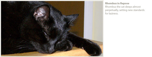 Rhombus the cat sleeps almost perpetually.