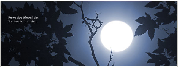 moonlight on the trails