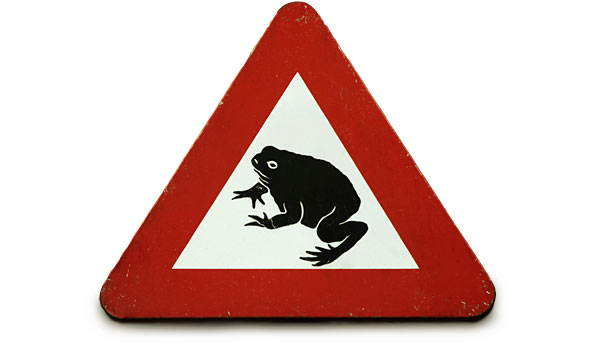 Caution: Frog Boil Zone
