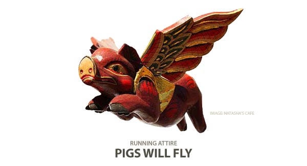 Flying Pig