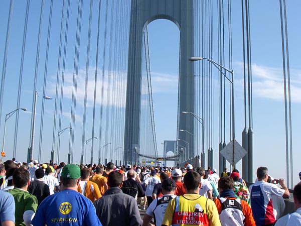 pic_nyc_vn_bridge.jpg
